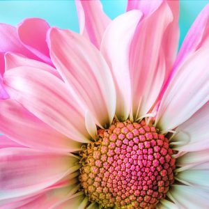 Sommerpause von 7.7.-8.8.2025
